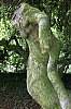 _MG_2788_DxO.jpg