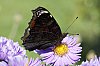 _MG_3405_DxO.jpg