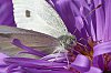_MG_3440_DxO.jpg