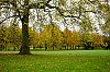 _MG_3928.jpg