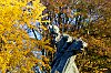 _MG_3998.jpg