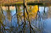 _MG_4048.jpg