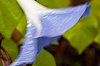 _MG_4210_28129.jpg