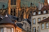 _MG_4229.jpg