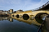 _MG_4461.jpg