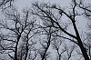 _MG_4604_DxO.jpg