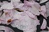 _MG_4794_DxO-1.jpg