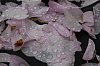 _MG_4794_DxO.jpg