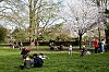 _MG_4936.jpg