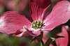 _MG_4963_DxO.jpg