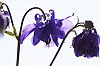 _MG_5007_DxO.jpg