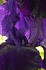 _MG_5026_DxO.jpg