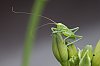 _MG_5050_DxO.jpg