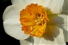 _MG_5068.jpg