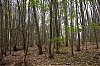 _MG_5071.jpg
