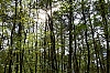 _MG_5085.jpg