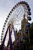 _MG_5097.jpg