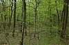_MG_5101.jpg