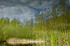 _MG_5113.jpg