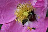 _MG_5163_DxO.jpg