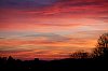 _MG_5171.jpg