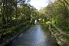_MG_5175.jpg