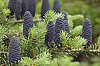 _MG_5176_DxO.jpg