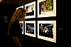 _MG_5332.jpg