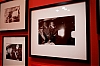 _MG_5344.jpg