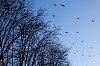 _MG_5385.jpg