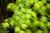 _MG_5413.jpg