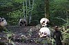 _MG_5417_DxO.jpg