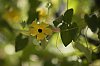 _MG_5469_DxO.jpg