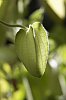 _MG_5473_DxO.jpg