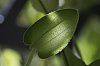 _MG_5475_DxO.jpg