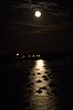 _MG_5502_DxO.jpg