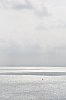 _MG_5635_DxO.jpg