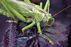 _MG_5766_DxO.jpg