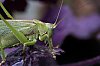 _MG_5777_DxO.jpg
