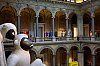 _MG_5781.jpg