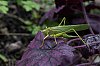 _MG_5788_DxO.jpg