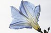 _MG_5858_DxO.jpg