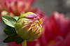 _MG_5859_DxO.jpg