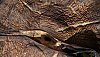 _MG_5865_DxO.jpg
