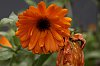 _MG_5917_DxO.jpg