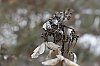 _MG_6205_DxO.jpg