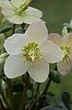_MG_6227_DxO.jpg