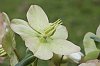 _MG_6235_DxO.jpg