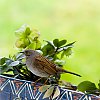 _MG_6270.jpg