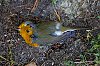 _MG_6375.jpg